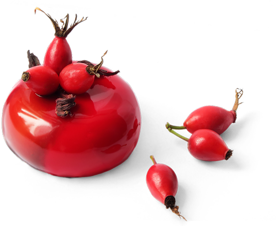 contatti